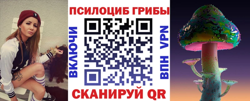 Псилоцибиновые грибы Psilocybine cubensis  Спасск-Дальний 